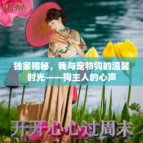 独家揭秘，我与宠物狗的温馨时光——狗主人的心声