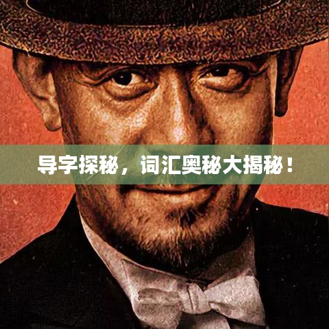 导字探秘，词汇奥秘大揭秘！