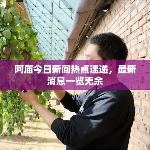 阿庙今日新闻热点速递，最新消息一览无余