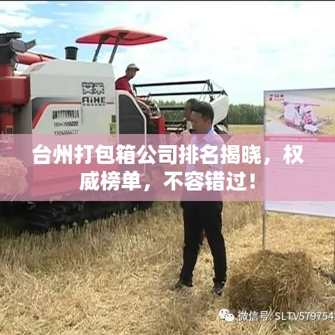 台州打包箱公司排名揭晓，权威榜单，不容错过！