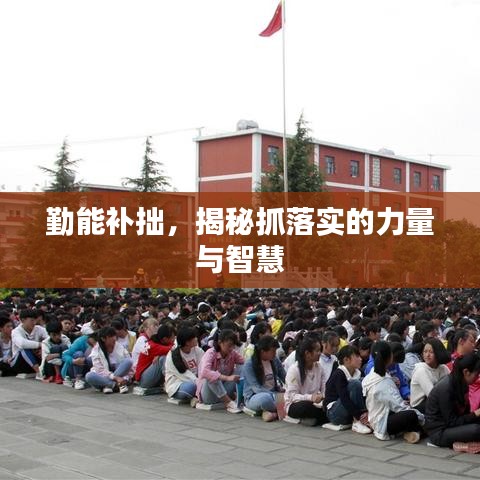 勤能补拙，揭秘抓落实的力量与智慧