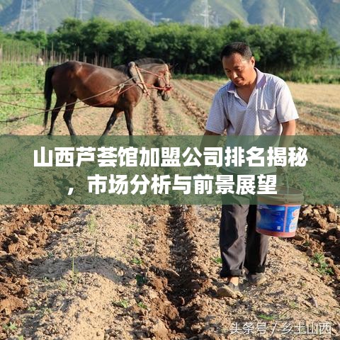 山西芦荟馆加盟公司排名揭秘，市场分析与前景展望