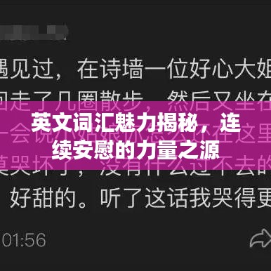 英文词汇魅力揭秘，连续安慰的力量之源