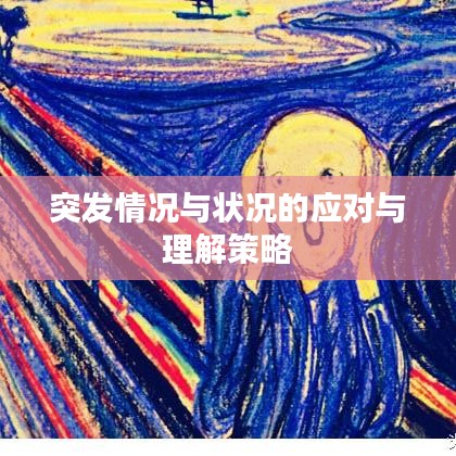 突发情况与状况的应对与理解策略