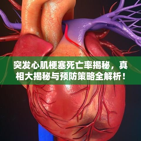 突发心肌梗塞死亡率揭秘，真相大揭秘与预防策略全解析！