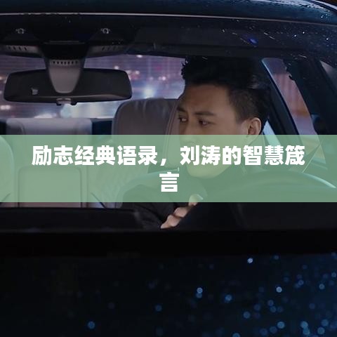 励志经典语录，刘涛的智慧箴言