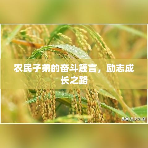 农民子弟的奋斗箴言，励志成长之路