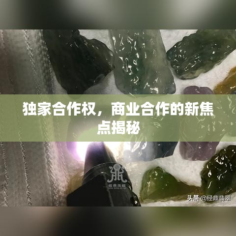 独家合作权，商业合作的新焦点揭秘
