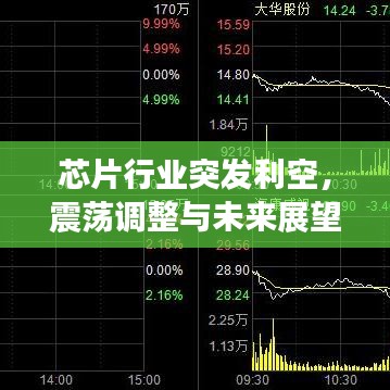 芯片行业突发利空，震荡调整与未来展望