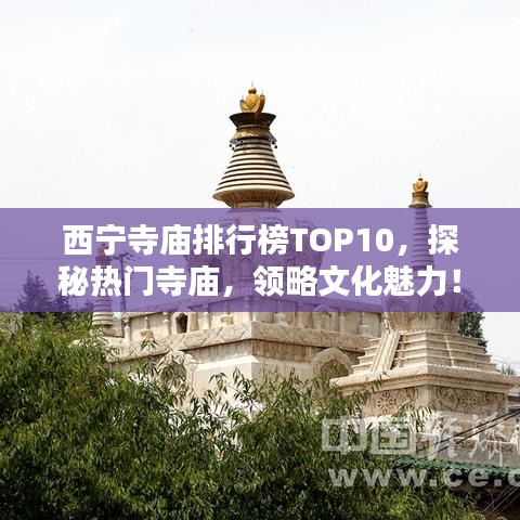 西宁寺庙排行榜TOP10，探秘热门寺庙，领略文化魅力！