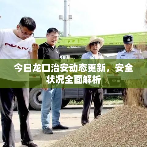今日龙口治安动态更新，安全状况全面解析