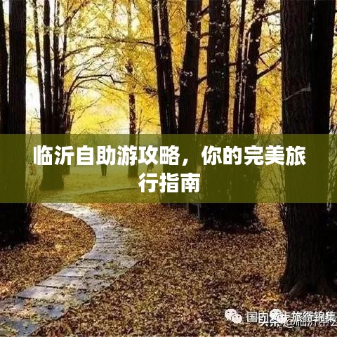 临沂自助游攻略，你的完美旅行指南