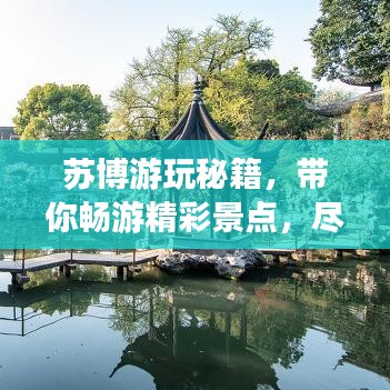 苏博游玩秘籍，带你畅游精彩景点，尽享独特体验！