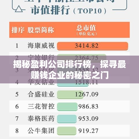 揭秘盈利公司排行榜，探寻最赚钱企业的秘密之门