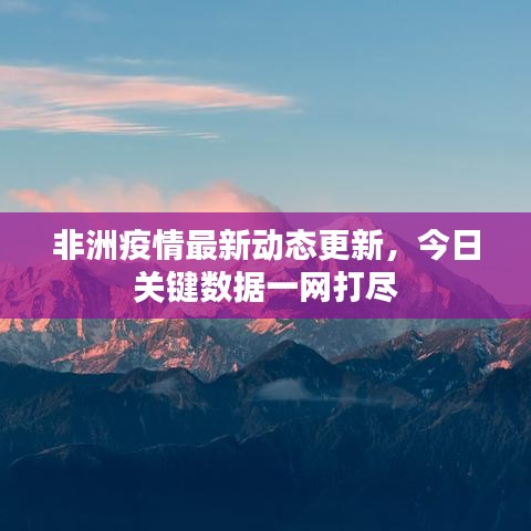 非洲疫情最新动态更新，今日关键数据一网打尽