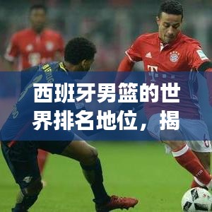 西班牙男篮的世界排名地位，揭秘其在国际篮坛的辉煌表现