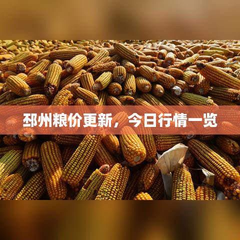 邳州粮价更新，今日行情一览