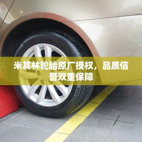 米其林轮胎原厂授权，品质信誉双重保障