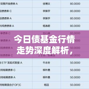 今日债基金行情走势深度解析，最新动态一网打尽