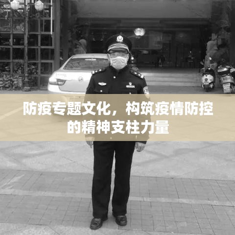 防疫专题文化，构筑疫情防控的精神支柱力量