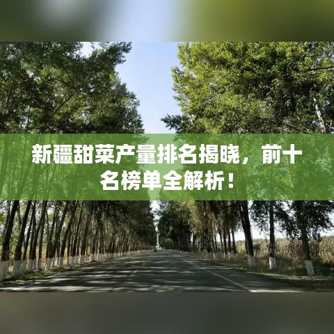 新疆甜菜产量排名揭晓，前十名榜单全解析！