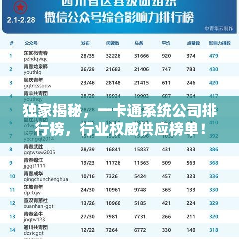 独家揭秘，一卡通系统公司排行榜，行业权威供应榜单！