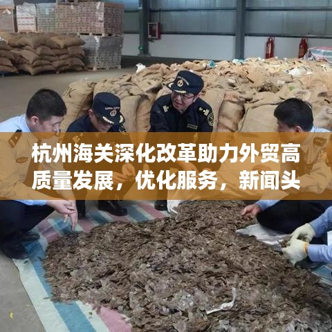 杭州海关深化改革助力外贸高质量发展，优化服务，新闻头条抢先看