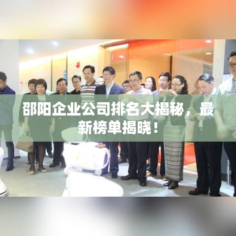 邵阳企业公司排名大揭秘，最新榜单揭晓！