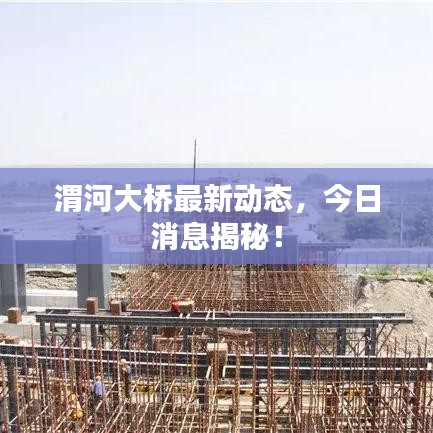 渭河大桥最新动态，今日消息揭秘！
