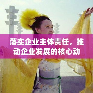 落实企业主体责任，推动企业发展的核心动力源泉