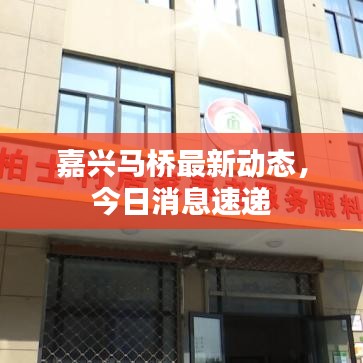 嘉兴马桥最新动态，今日消息速递