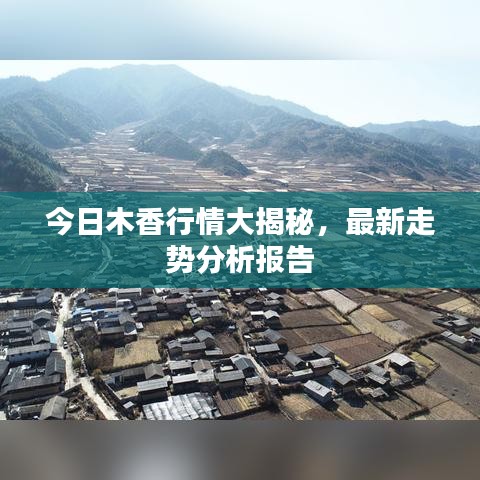 今日木香行情大揭秘，最新走势分析报告