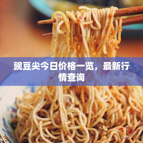 豌豆尖今日价格一览，最新行情查询