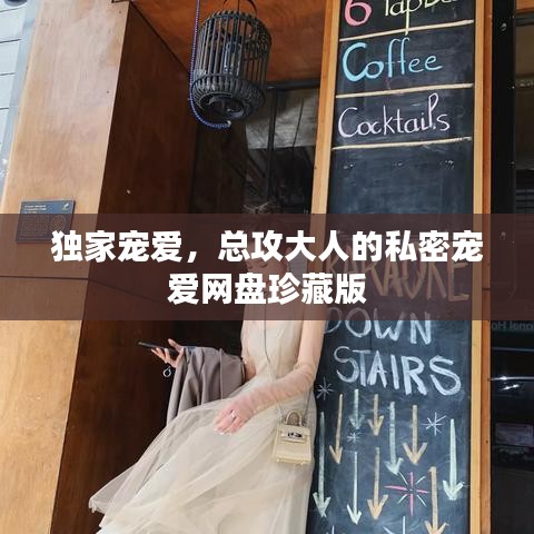 独家宠爱，总攻大人的私密宠爱网盘珍藏版