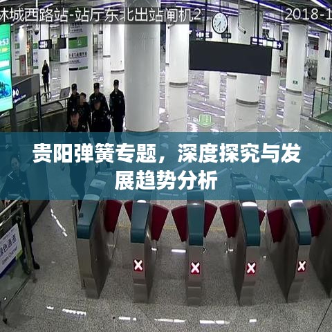 贵阳弹簧专题，深度探究与发展趋势分析