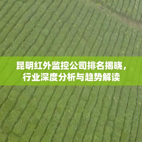 昆明红外监控公司排名揭晓，行业深度分析与趋势解读