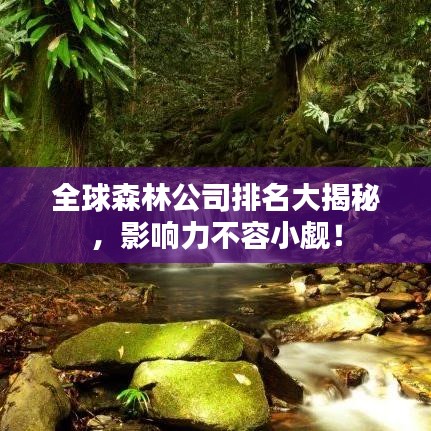全球森林公司排名大揭秘，影响力不容小觑！