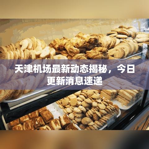 天津机场最新动态揭秘，今日更新消息速递