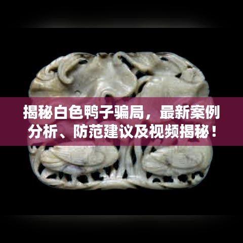 揭秘白色鸭子骗局，最新案例分析、防范建议及视频揭秘！