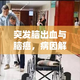 突发脑出血与脑癌，病因解析及防治策略探究
