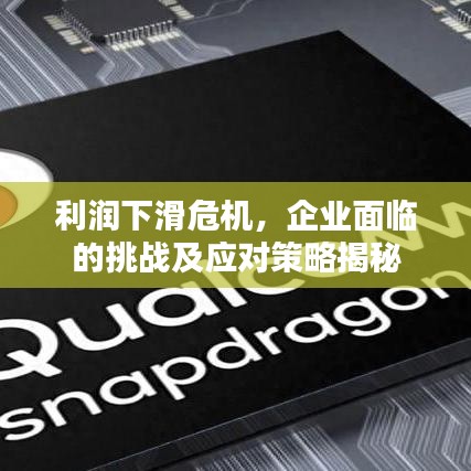 利润下滑危机，企业面临的挑战及应对策略揭秘