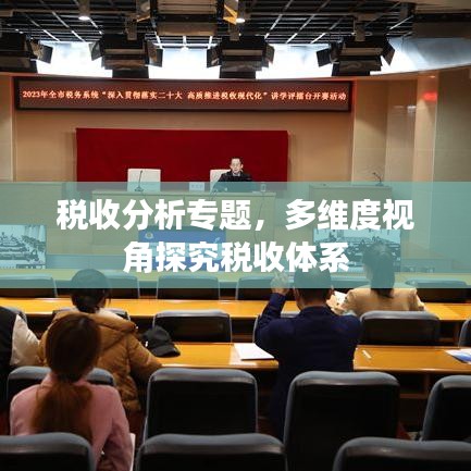 税收分析专题，多维度视角探究税收体系