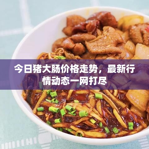 今日猪大肠价格走势，最新行情动态一网打尽