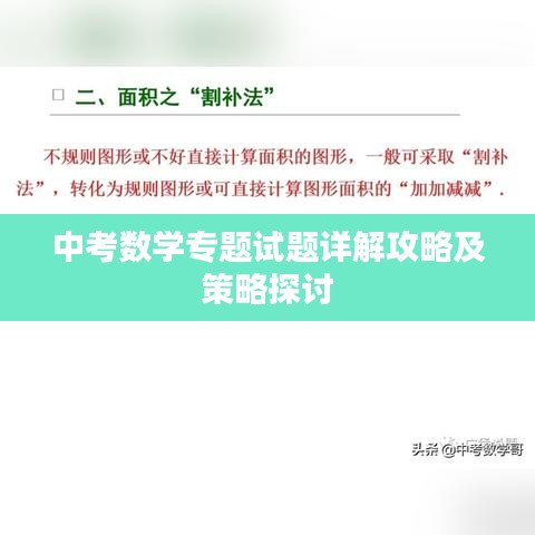 中考数学专题试题详解攻略及策略探讨