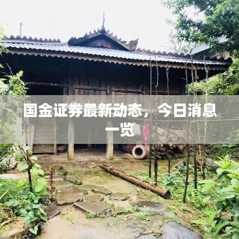 国金证券最新动态，今日消息一览