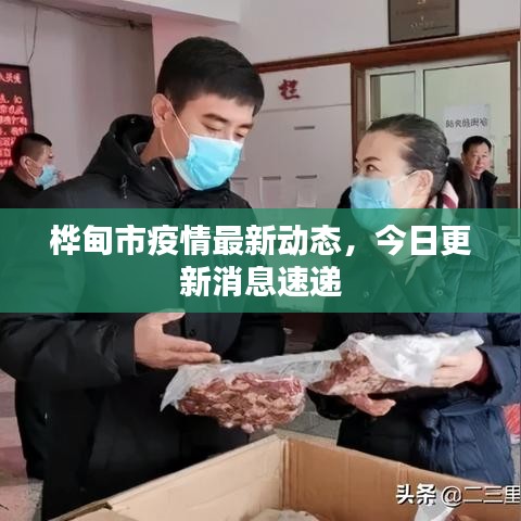 桦甸市疫情最新动态，今日更新消息速递