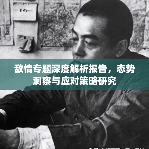 敌情专题深度解析报告，态势洞察与应对策略研究