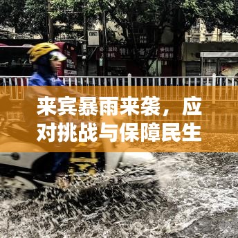 来宾暴雨来袭，应对挑战与保障民生齐头并进