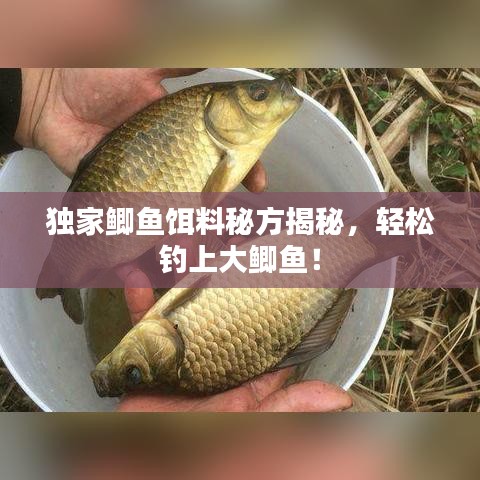 独家鲫鱼饵料秘方揭秘，轻松钓上大鲫鱼！