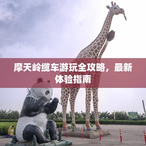 摩天岭缆车游玩全攻略，最新体验指南